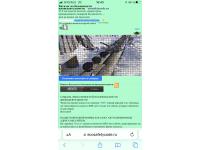 Каталог по безопасности жизнедеятельности